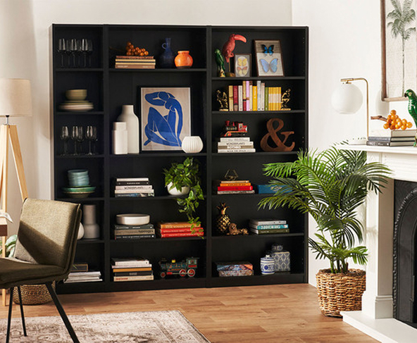 kobi-bookshelf.jpg