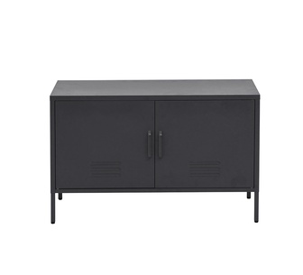 Alanis 2 Door Black Buffet Metal Sideboard