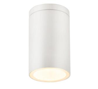 Aurenyx Outdoor Wall Light White