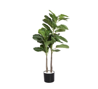 Baila Palm Tree in Plastic Pot 100cm Green