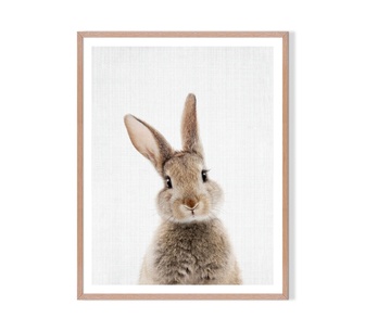 Boo Framed Print 41x51cm Wall Art