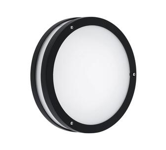Cael Outdoor Wall Light