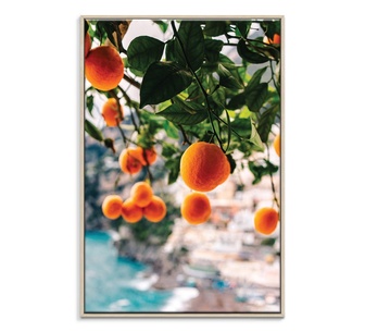 Citrus Glow Framed Canvas 51x76cm Wall Art