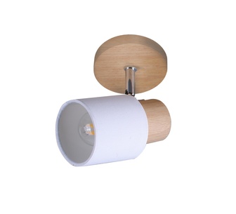 Dayna 1 Light Spot Light White
