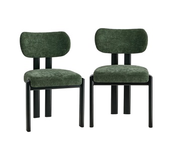 Set of 2 Daffodil Green Chenille Dining Chair