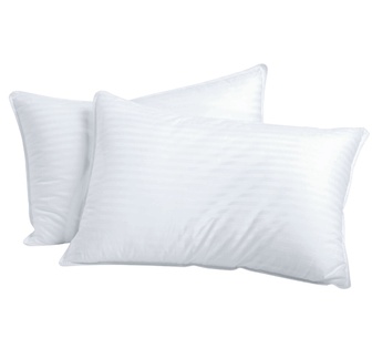 DM Microfibre Pillow Standard Twin Pack