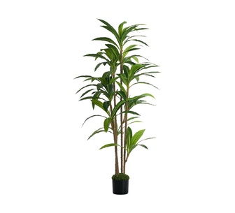 Dracaena Tree 180cm Green Potted Artificial Plant