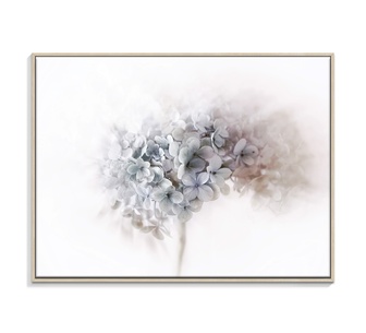 Echoes of Silence Framed Canvas 76x102cm Wall Art