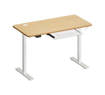 Eira Standing Desk White/Oak