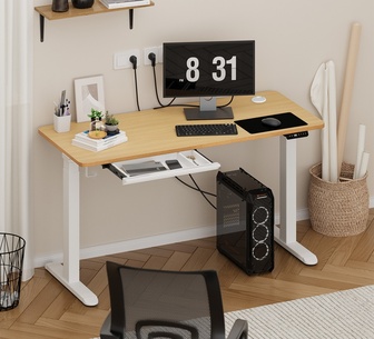 Elirae Standing Desk White/Oak