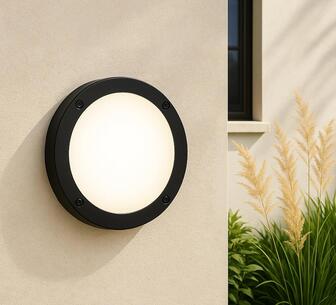 Eryndor Outdoor Wall Light