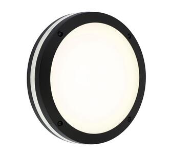 Eryndor Outdoor Wall Light