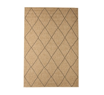 Faylora 80x150cm Natural Rectangle Indoor/Outdoor Rug