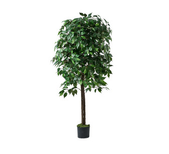 180cm Artificial Ficus Tree Green