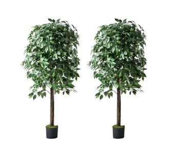 Set of 2 150cm Ficus Tree Artificial Plant