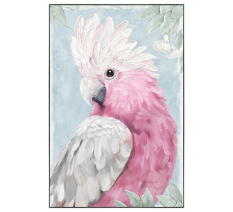 Galah-palooza Painting 62x92