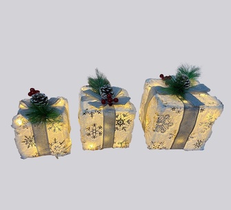 Lasus Lift Up Giftbox Snow Multi