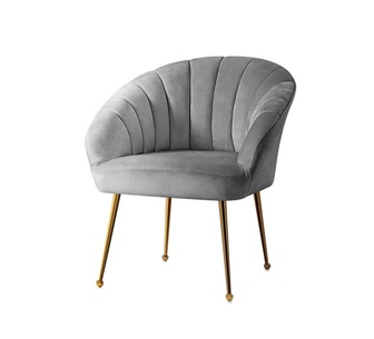 Gwyndor Grey Velvet Accent Chair