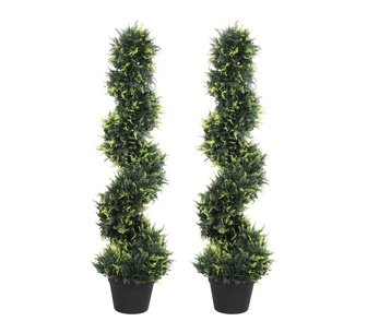Baila Spiral 2 Pack Cypress Tree Green