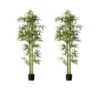 Set of 2 Ylena 180cm Tree Artificial Plant
