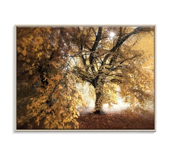 Luminescent Leaves Framed Canvas 76x102cm Wall Art