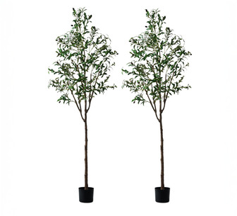 2 Pack 210cm Artificial Olive Tree Green