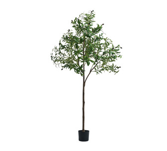 180cm Artificial Olive Tree Green