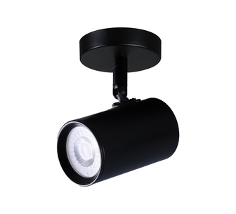 Riannah 1 Light Spot Light Black