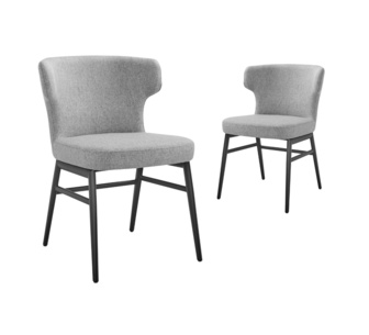 Set of 2 Riel Ash Dining Chairs