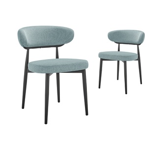 Set of 2 Selmira Teal Black Dining Chairs