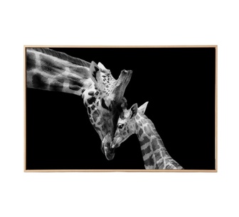 Tavra 80x120cm Multicoloured Animal Canvas Wall Art
