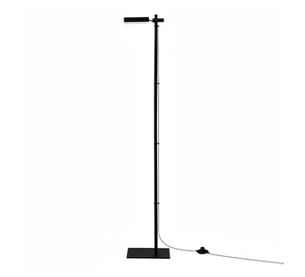 TerraGlow Black 360° Adjustable Light Head LED FLoor Lamp