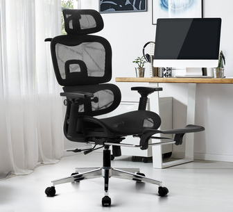 Wyndell Black Mesh Executive Ergonomic Office Chair