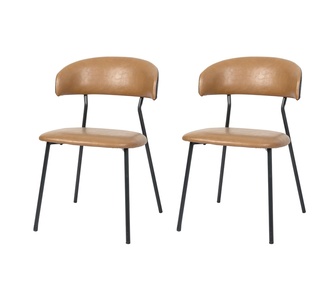 Set of 2 Yoongi Brown Dining Chairs