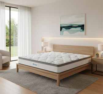 Dreamz 25cm Double Size Mattress in White