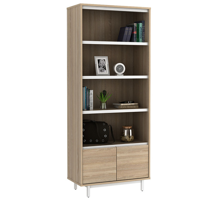 Belinda 2 Door Bookshelf | Bookcases & Bookshelves