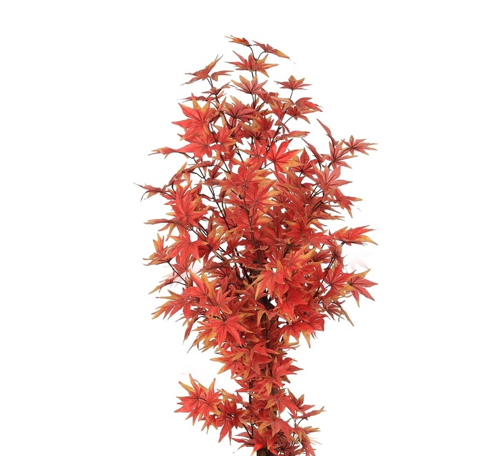 media