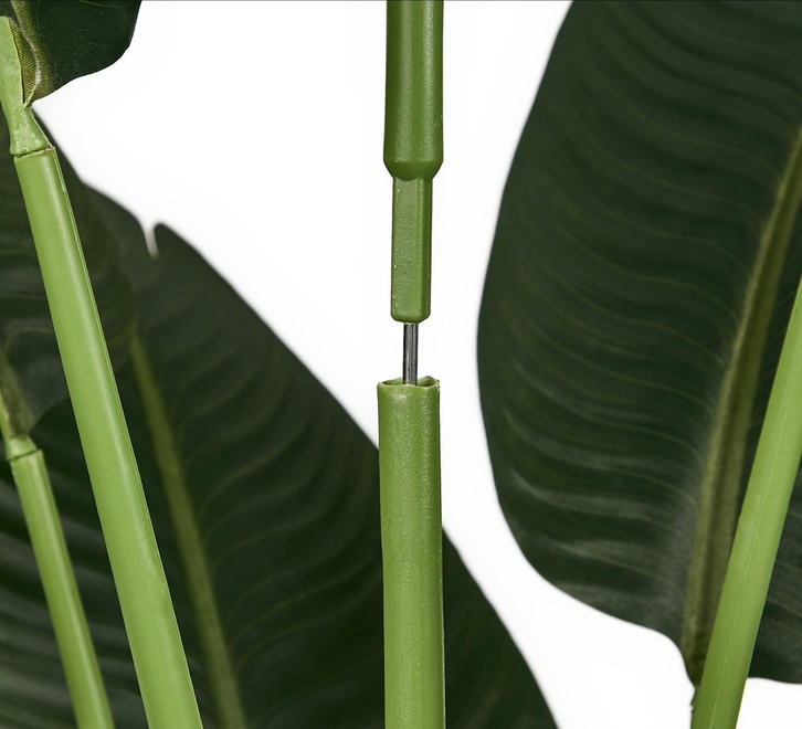 media