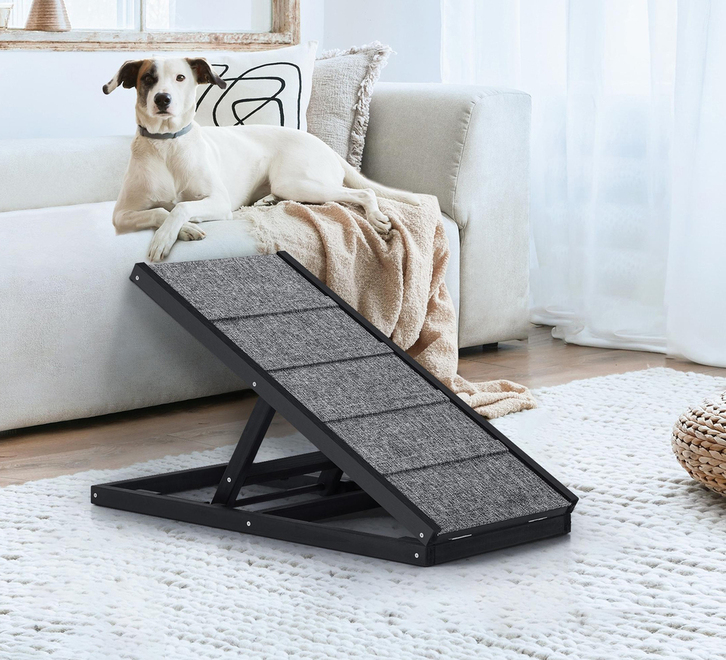 media