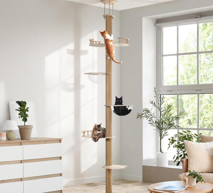 media