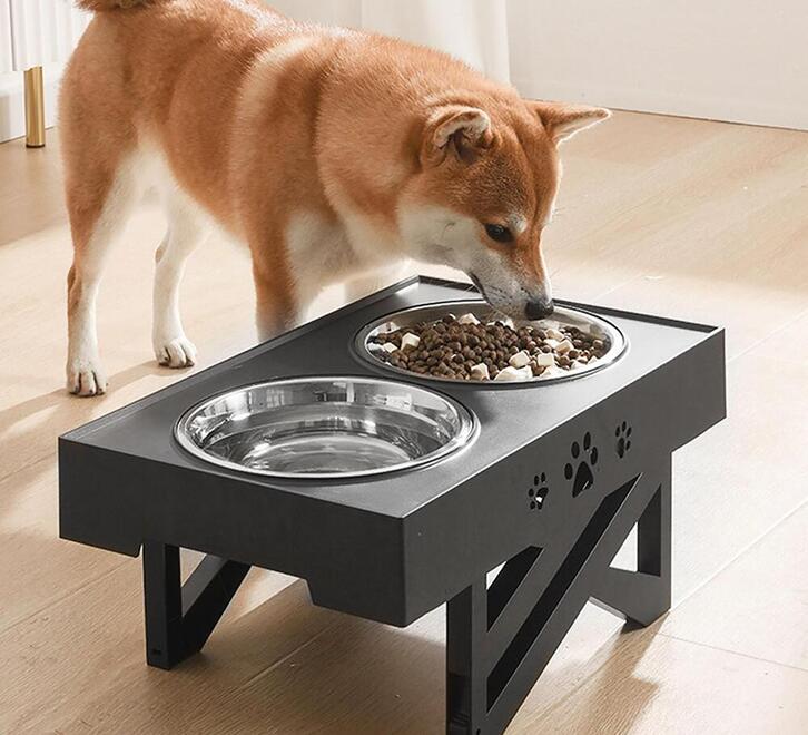media