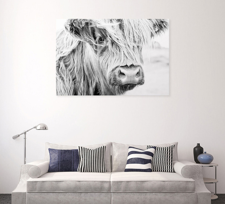 Highland Cow Wall Art | Wall Decor