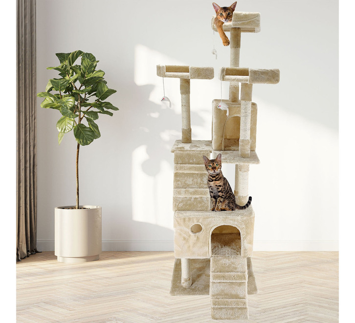 Cat trees shop online