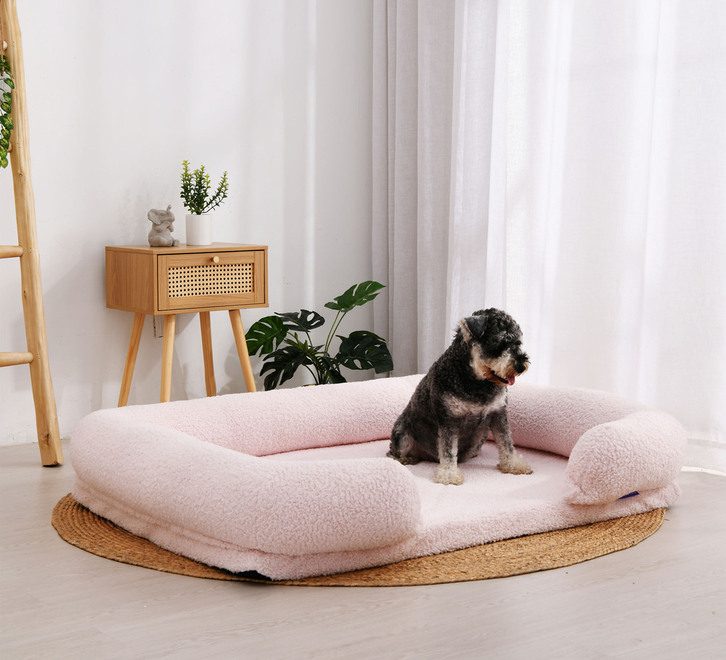 Dog on sale bed online