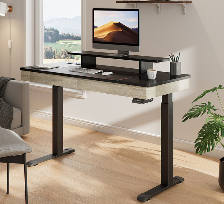 Ergomy I55 Two-Drawer Electric Standing Desk | Desks